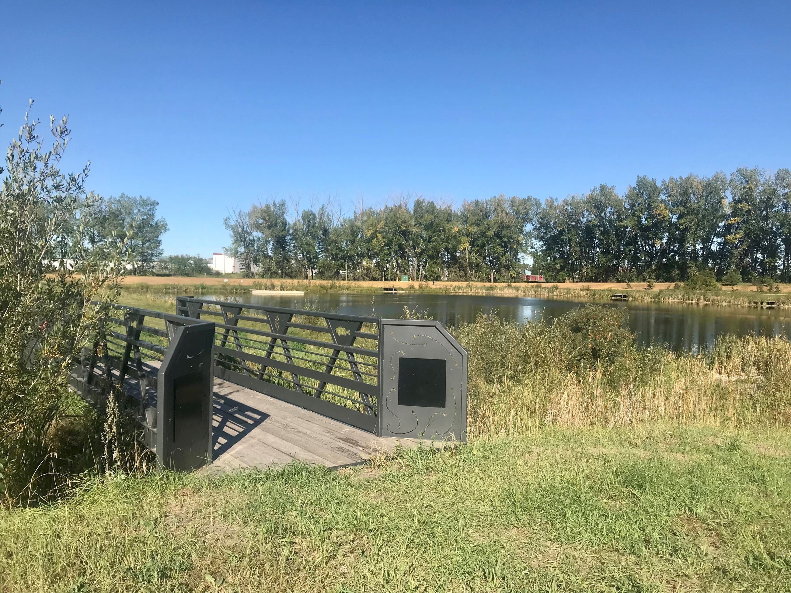 Fish and Fetch Fish Pond